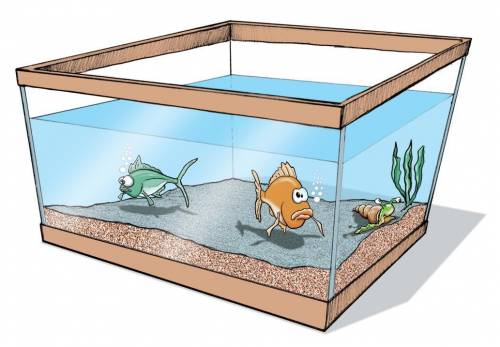 The volume of this fish tank is _____ Liters.
l=50 cm h=12 cm w=20 cm