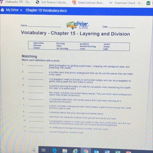 Layering and Division Vocab