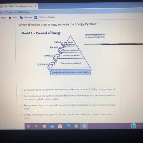 Which direction does energy move in the Energy Pyramid?

Model 1 - Pyramid of Energy
Values in the