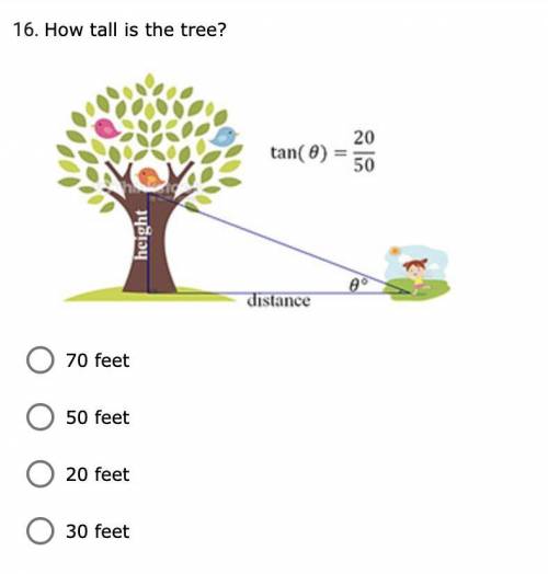 How tall is the tree?

I have posted this question 3 times now and I keep getting the virus link a