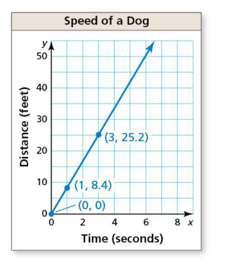 The graph shows that the distance a dog runs is proportional to the time the dog is running. You wa