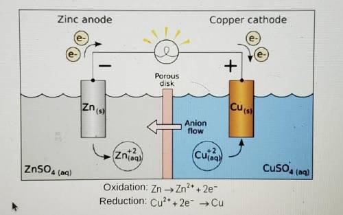 Look at the diagram of the electrochemical cell below.

Which statement is accurate?A. It is a vol