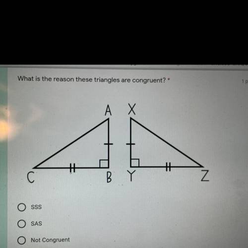 What is the reason these triangles are congruent 
A. SSS
B. SAS
C. not congruent