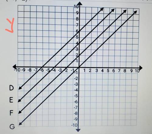 Which line contains the ordered pair (-4,-2)​