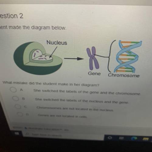 What mistake did the student make in her diagram?

A
She switched the labels of the gene and the c