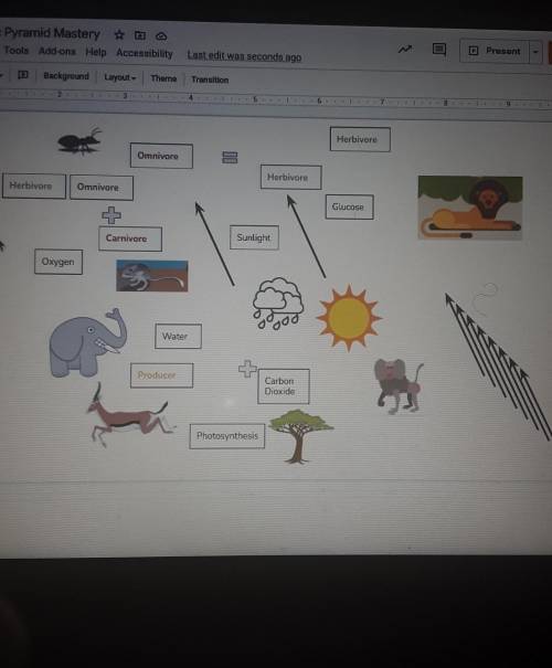 in the next slide drag and drop object to create a food web showing how energy and nutrients flow b