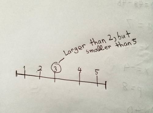 Draw a number line that shows numbers larger than 2 and smaller than 5. Please visualize your thinki