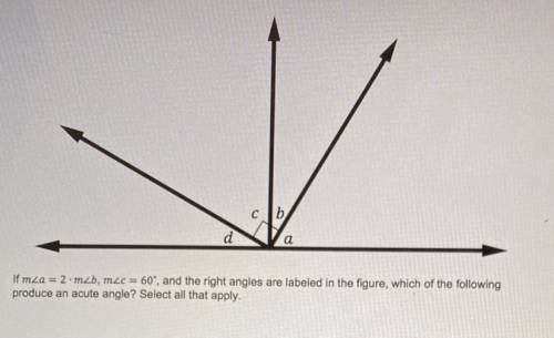 Сть

b
d
a
If mza = 2.m2b, mzc = 60', and the right angles are labeled in the figure, which of the