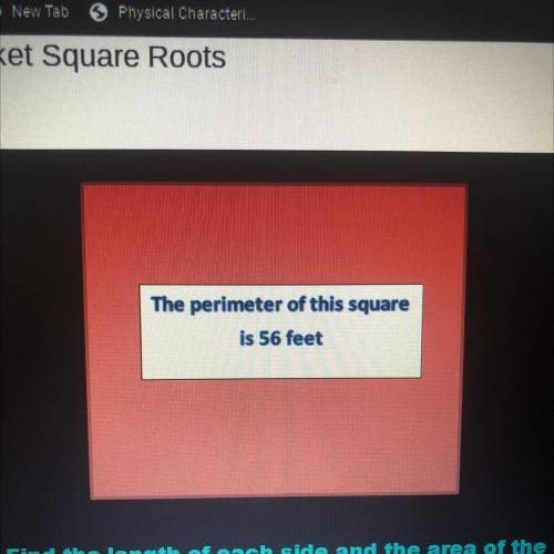The perimeter of this square is 56 feet .

1) Find the Leno of each side and the area of the squar