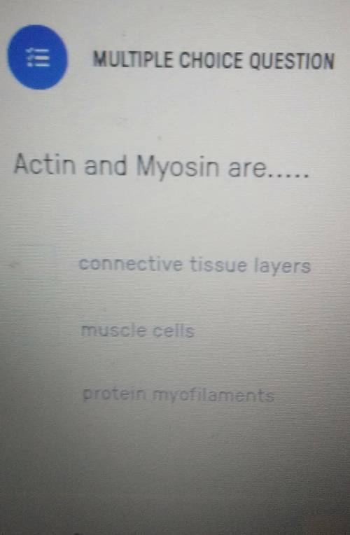 Actin and Myosin are what? connective tissue layers, muscle cells, or protein myofilaments?​