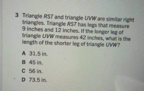 triangle rst in Triangle uvw are similar right triangles triangle rst has legs that measures 9 inch