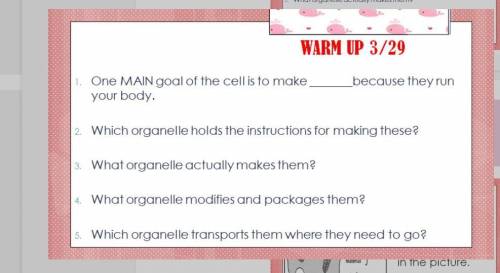 Which organelle holds the instructions for making these?