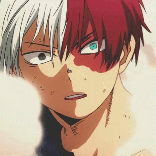 I just realized i am the girl version of todoroki ;-;