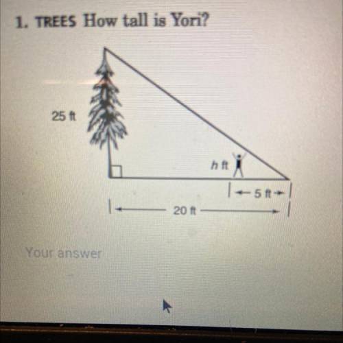 How tall is yori? Write answer as a decimal