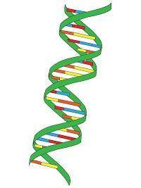 Biology 9th grade need help asap please

The sides or backbone of DNA is made up of what two molec