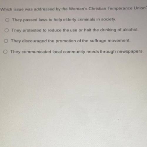 Which issue was addressed by the Woman's Christian Temperance Union?

O They passed laws to help e