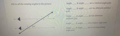 Angle

& angle
Fill in all the missing angles in the picture.
are a vertical angle pair.
&