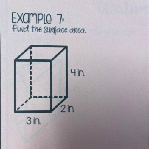 Find the surface area.
4 in
O
2 in
3 in
