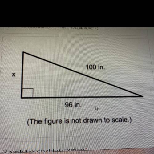 What is the length of x ??