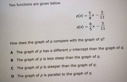 Pls help and explain i do not know what the answer is.