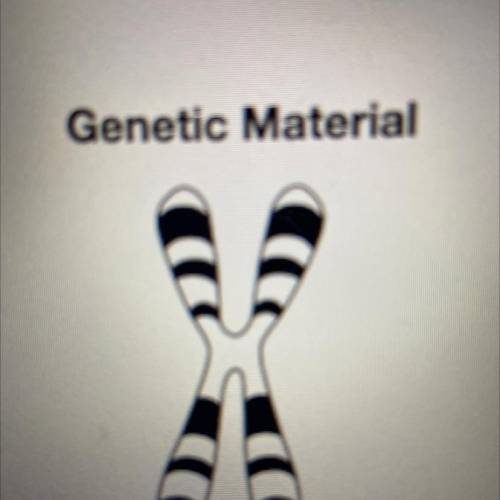 Genes are composed of hereditary material. Identify this hereditary material