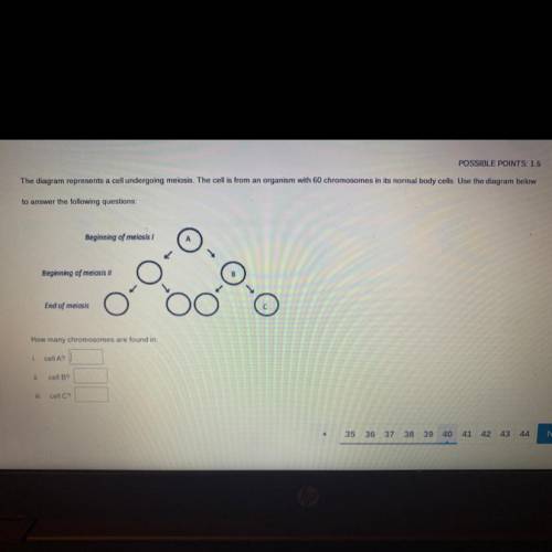 Anyone know the answer too this, I’d be much appreciated!