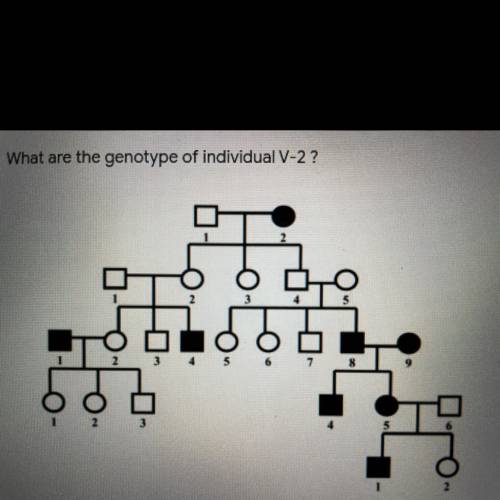 What are the genotype of individual V-2 ?
Please, help
ASAP