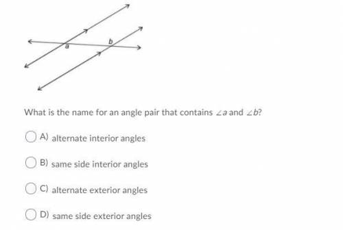 What is the name for an angle pair that contains ∠a and ∠b?