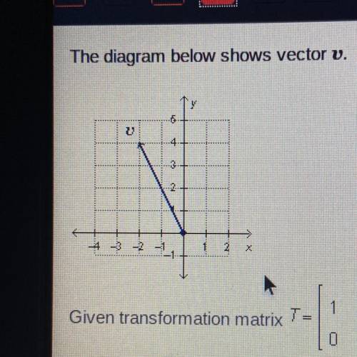 The diagram below shows vector v.

Given transformation matrix t= 1 0 0 -1 which diagram shows the