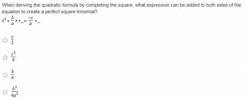Please answer for 20 points