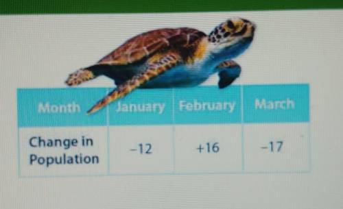 A marine rescue center starts the year with 44 sea turtles. The table shows how the sea turtle popu
