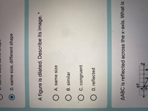 I need help with both of these if you know any of them them helppp me pls will give 20 points