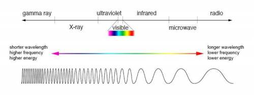 Which of these are part of the electromagnetic spectrum?

Question options:
gamma rays
visible ligh