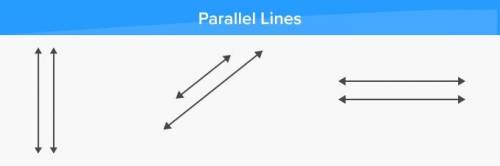 1) a) What are perpendicular lines and parallel lines ​