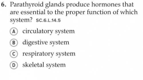 help please, parathyroid glands produce hormones that are essential to the proper function of which