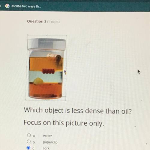 Which object is less dense than oil??