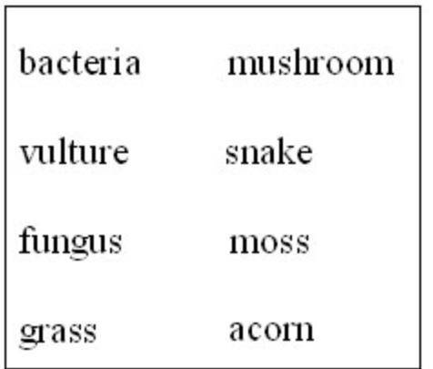Above is a list of organisms found in a forest ecosystem. Which of the following groups of organism