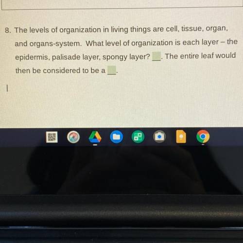 The levels of organization in living things are cell, tissue, organ,

and organs-system. What leve