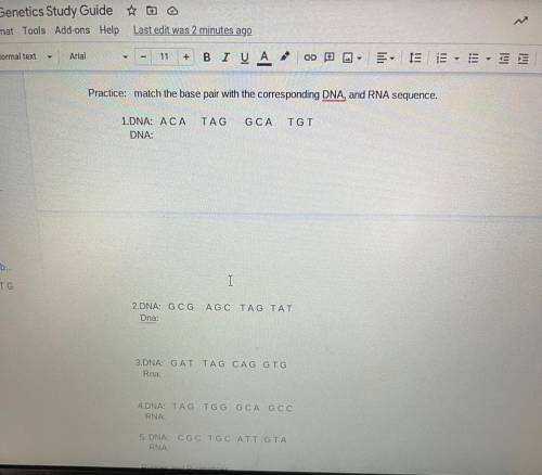 Please help 
Match the base pair with the corresponding DNA and RNA sequence.