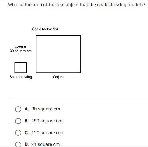 Please help! this is a geometry question.