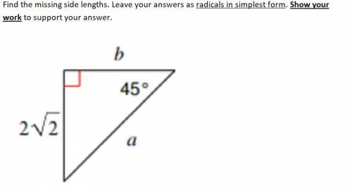 I need help with these math questions please. I don't understand and they have been overdue for alm