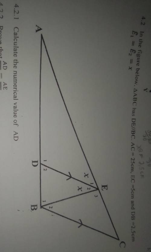 Help me with those two questions​