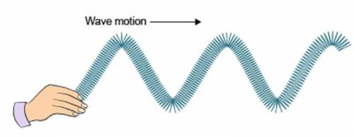 What is the motion of the particles in this kind of wave?

(See image below)
↓ ↓ ↓ ↓ ↓
A. The part