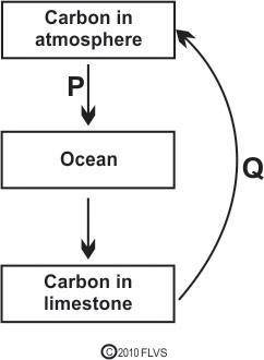 The diagram below shows two processes, P and Q, in the carbon cycle.

Which of these statements be