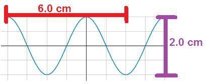 HELPPPP BRAINLIEST

What is the amplitude of the wave shown below?
1.0 cm
2.0 cm
4.0 cm
5.0 cm