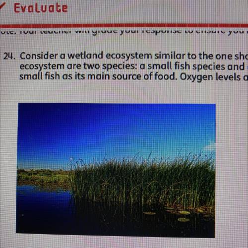 Consider a wetland ecosystem similar to the one shown in the image below. In this ecosystem are two