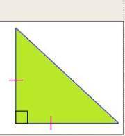 How many congruent sides are on a Right Isosceles Triangle?​