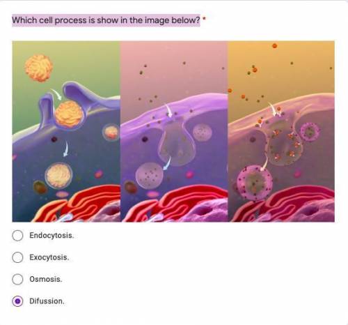 Which cell process is show in the image below?
pls help im in a final test :(