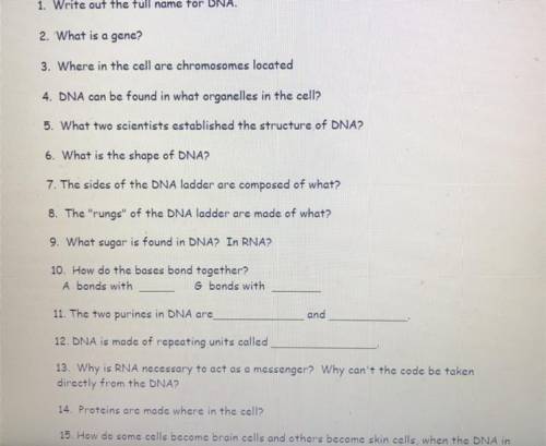 Answer at least 5 of these questions. 
if you could answer all of them that would be great