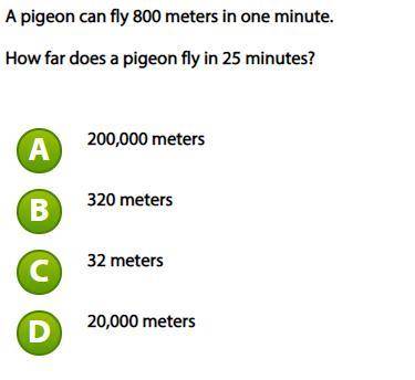 A pigeon can fly 800 meters in one minute. How far does a pigeon fly in 25 minutes?